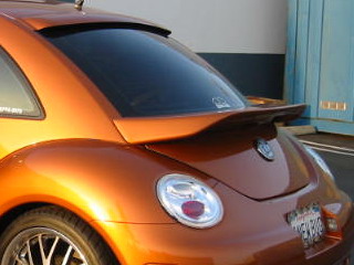 Beetle 01.jpg